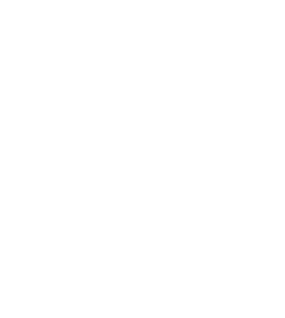 Logo SV weiß